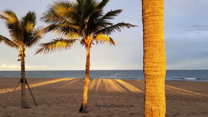 Florida beach | save money on road trip